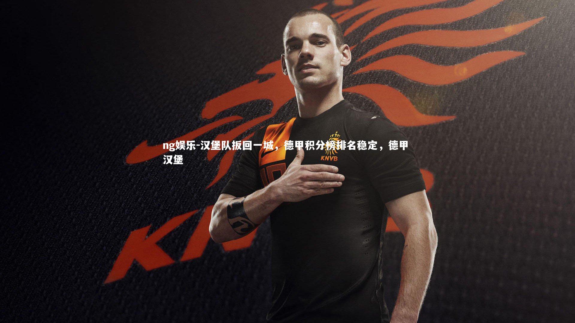 ng娱乐-汉堡队扳回一城，德甲积分榜排名稳定，德甲 汉堡