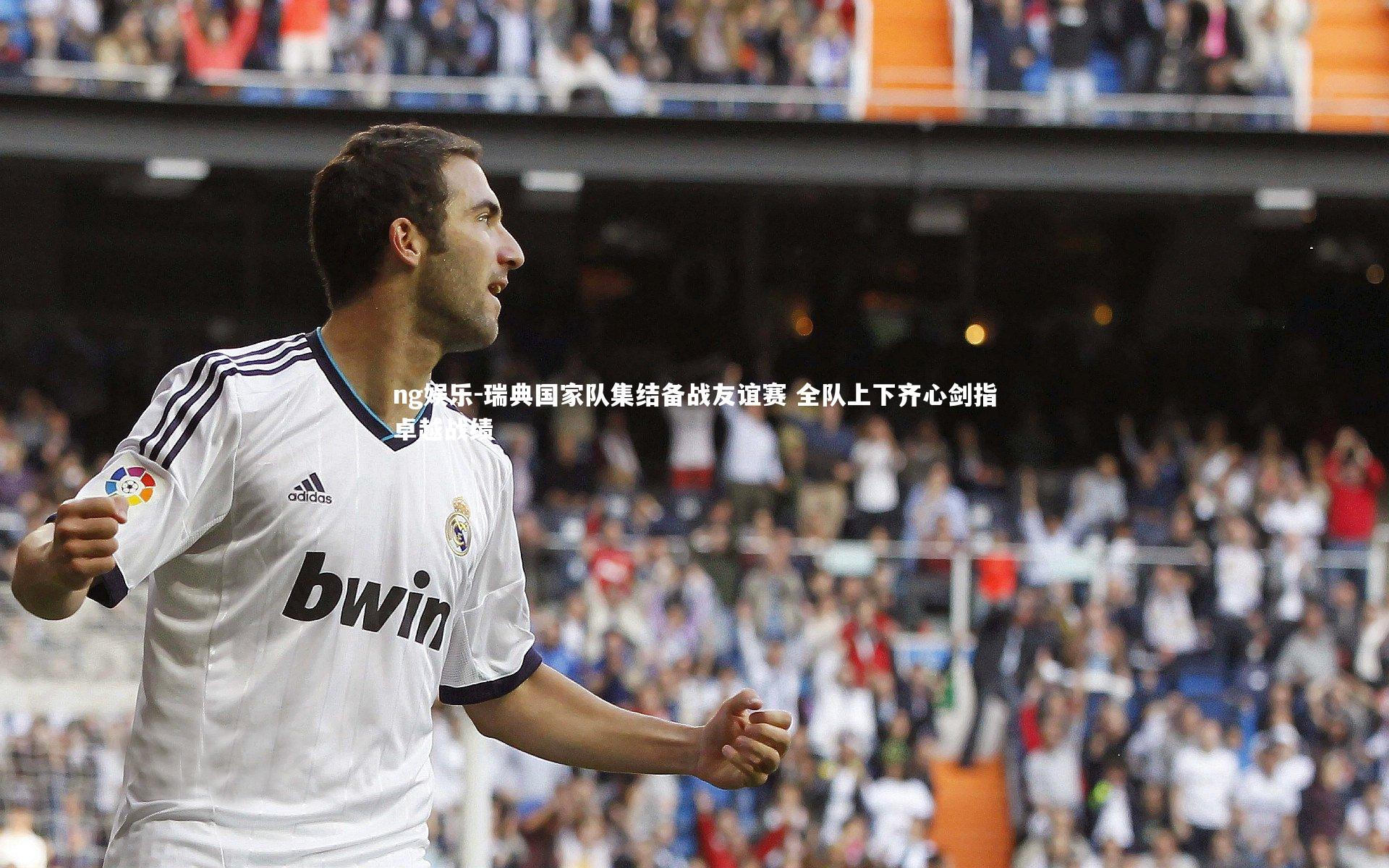 瑞典国家队集结备战友谊赛 全队上下齐心剑指卓越战绩